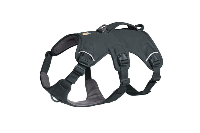 Web Master Harness Basalt Gray