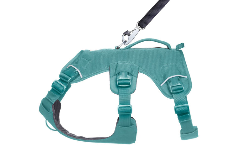 Web Master Harness River Rock Green