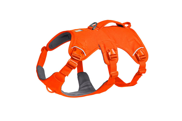 Web Master Harness Blaze Orange