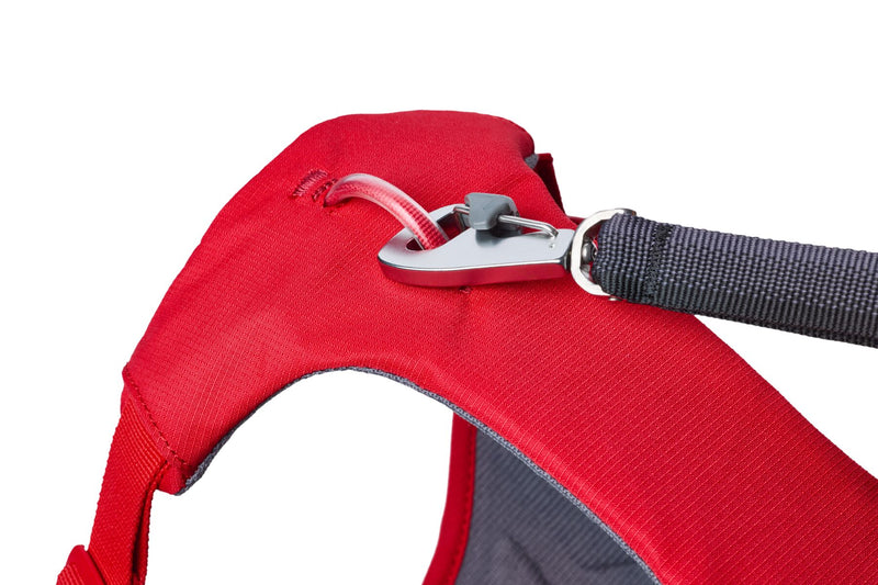 Web Master Harness Red Canyon