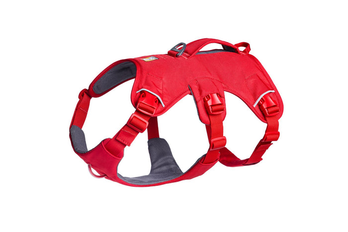 Web Master Harness Red Canyon