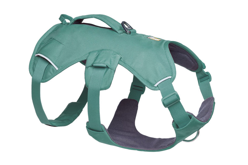 Web Master Harness River Rock Green