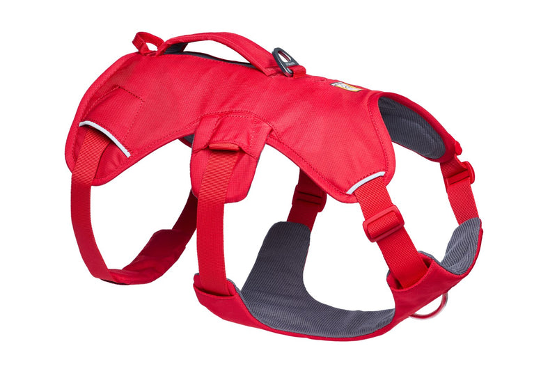 Web Master Harness Red Canyon