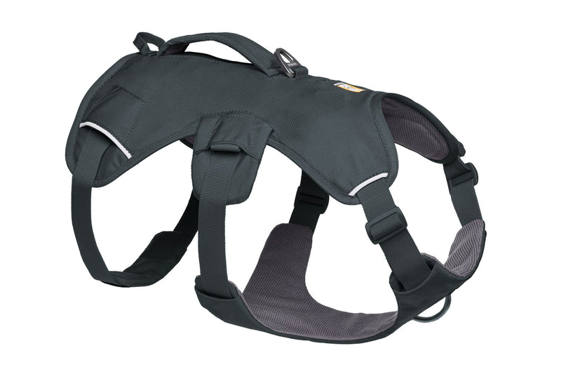 Web Master Harness Basalt Gray