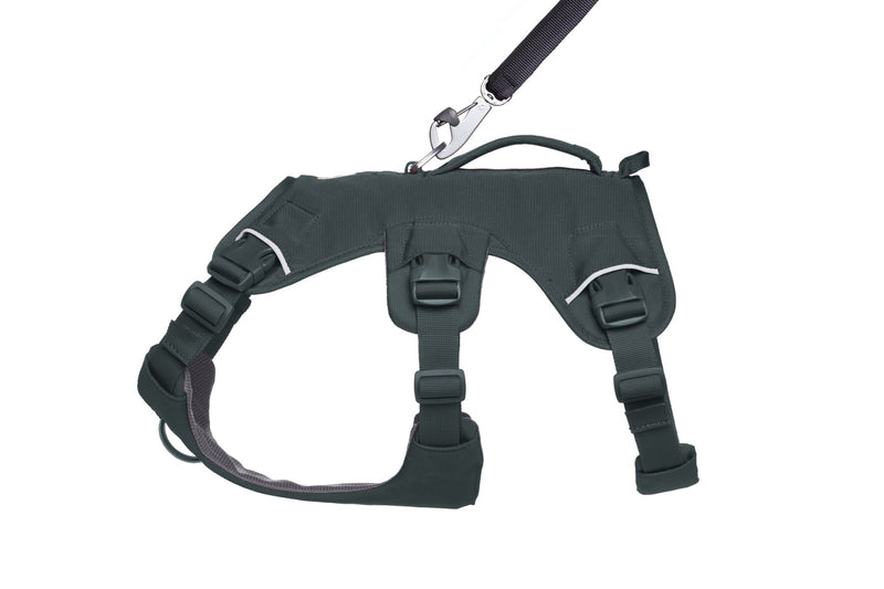 Web Master Harness Basalt Gray