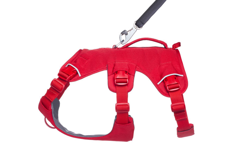 Web Master Harness Red Canyon