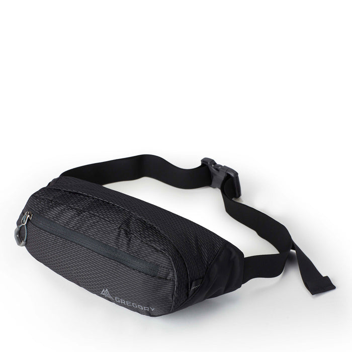 Nano Waistpack Mini